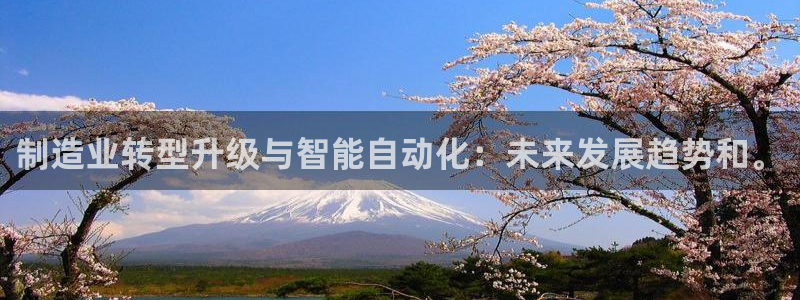 pg电子在线注册