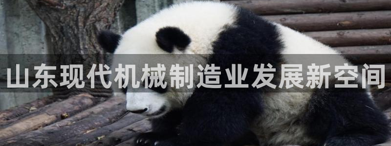 pg电子麻辣火锅爆浆