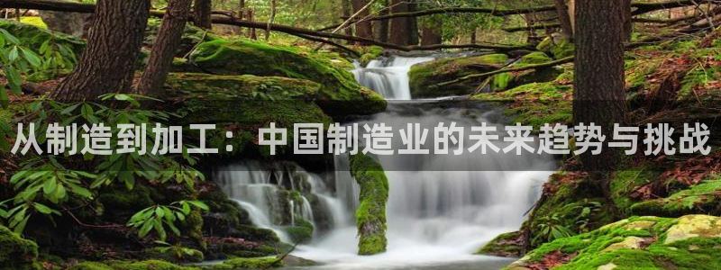 pg电子官方网址