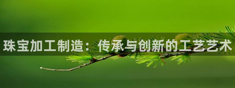 pg电子有吐分期吗