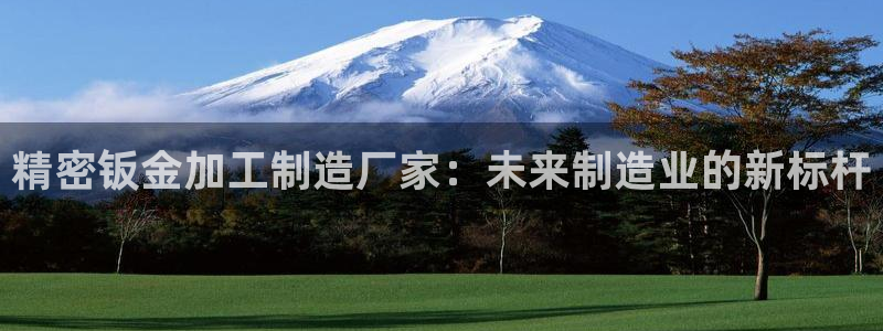 pg电子麻将胡了爆分