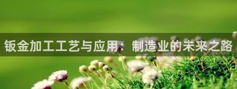 pg电子是局域网的吗