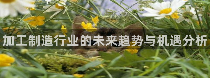 pg电子游戏爆奖