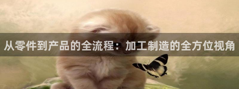 pg电子视频麻将胡了
