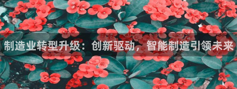 PG电子是不是假的