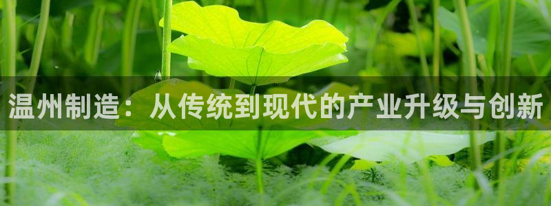 pg电子免费单机游戏