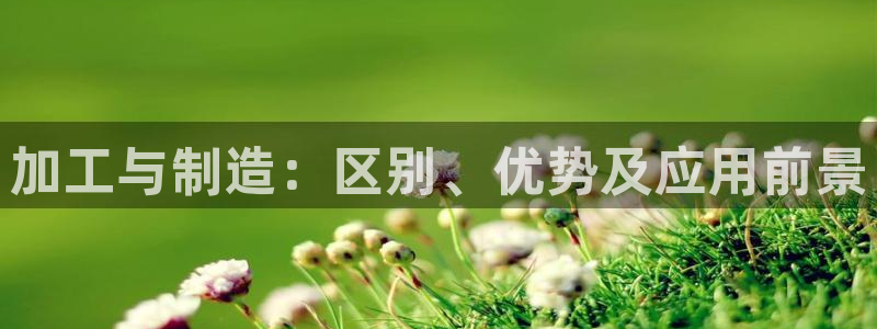 pg电子模拟器