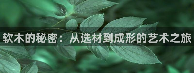 pg电子双喜临门十万倍长什么样