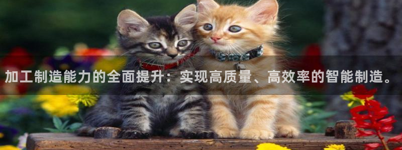pg电子玩法心得