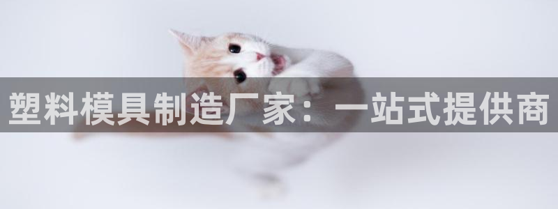 PG电子棋牌